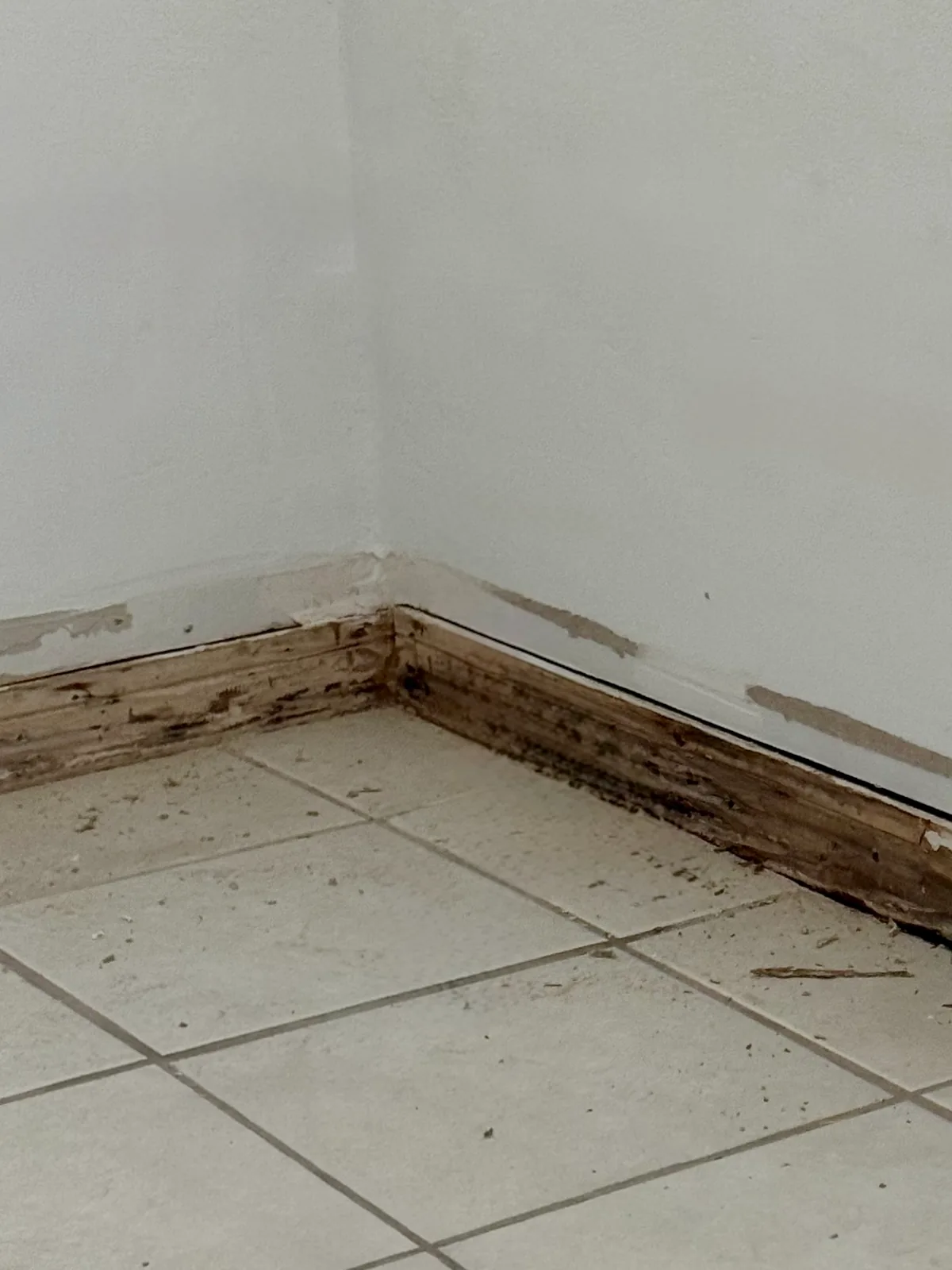 Damaged wall base and peeling paint after the old baseboard was removed